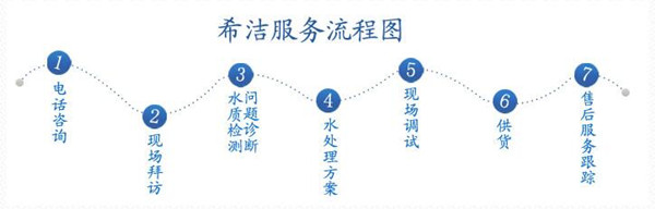 广东氨氮去除剂厂家-希洁服务流程图