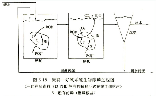 污水厂出口磷超标的解决方法（一）生物除磷