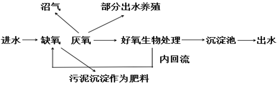 养猪场处理流程