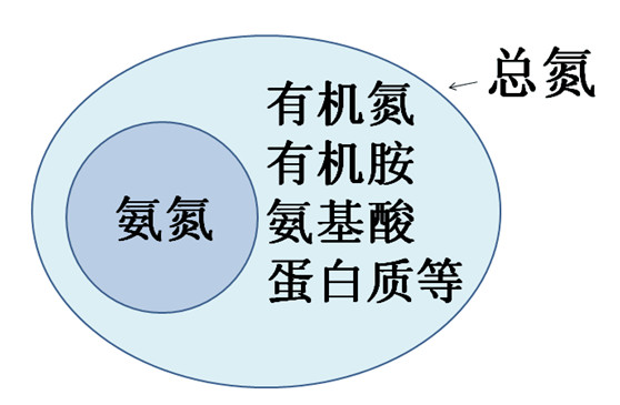 总氮和氨氮关系图